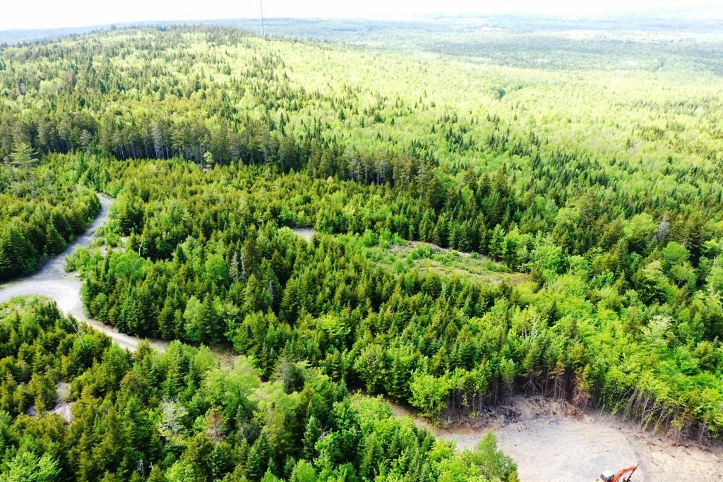 Tbd Tbd Alpine Ridge, Unit LOT 10 Greenville, ME 04441 - Photo 1 of 14 DJI_0209