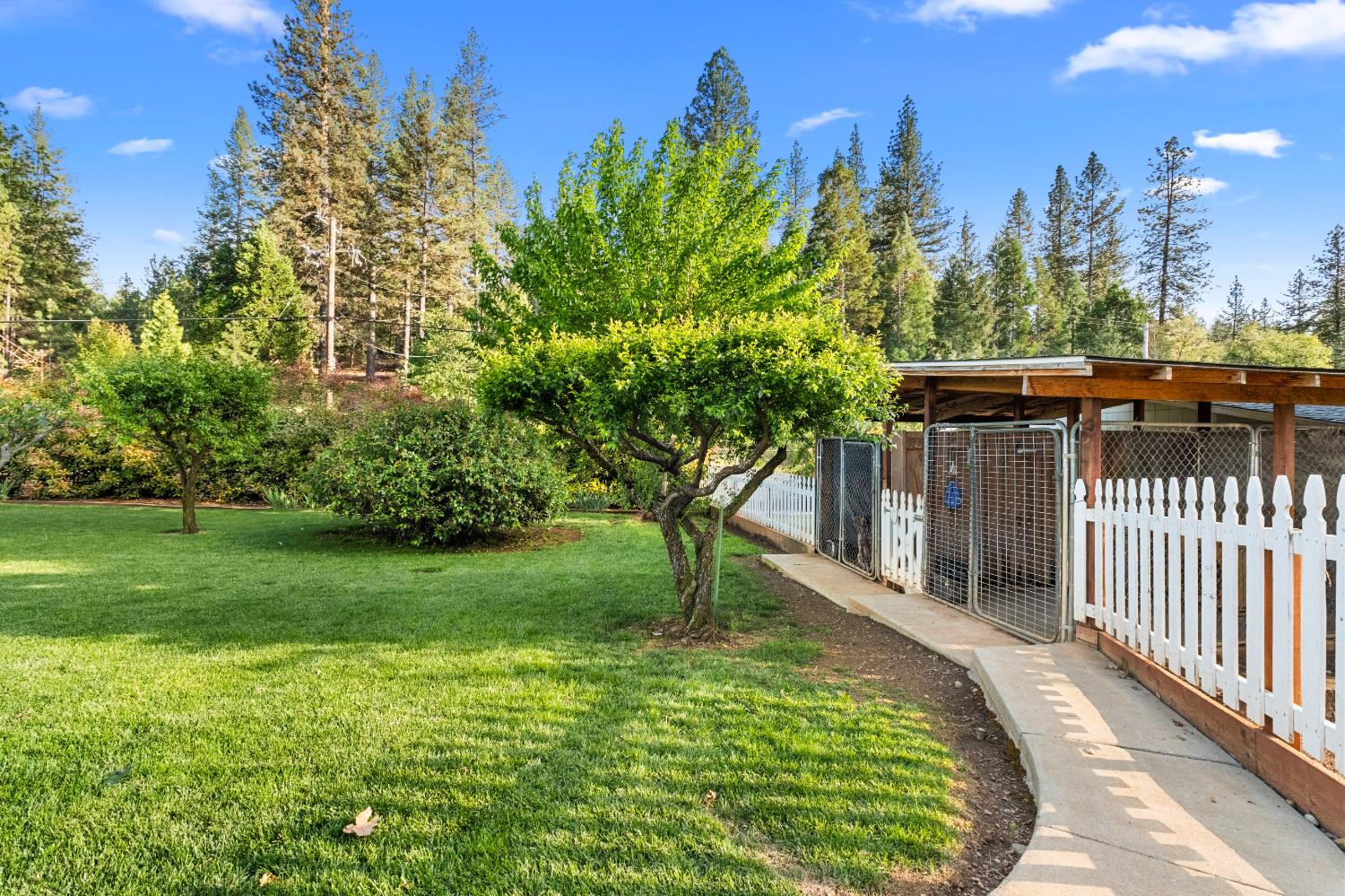 3217 Pleasant Valley Road Placerville, CA 95667 - Photo 34 of 59 Two dog kennels