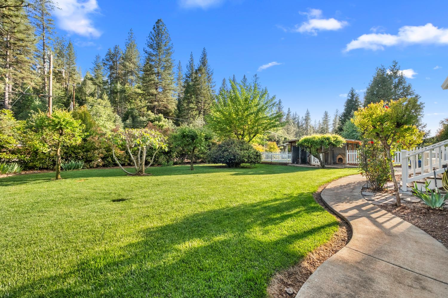 3217 Pleasant Valley Road Placerville, CA 95667 - Photo 35 of 59