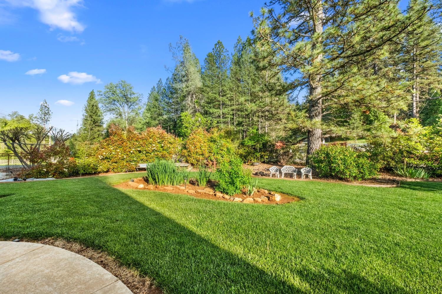 3217 Pleasant Valley Road Placerville, CA 95667 - Photo 38 of 59