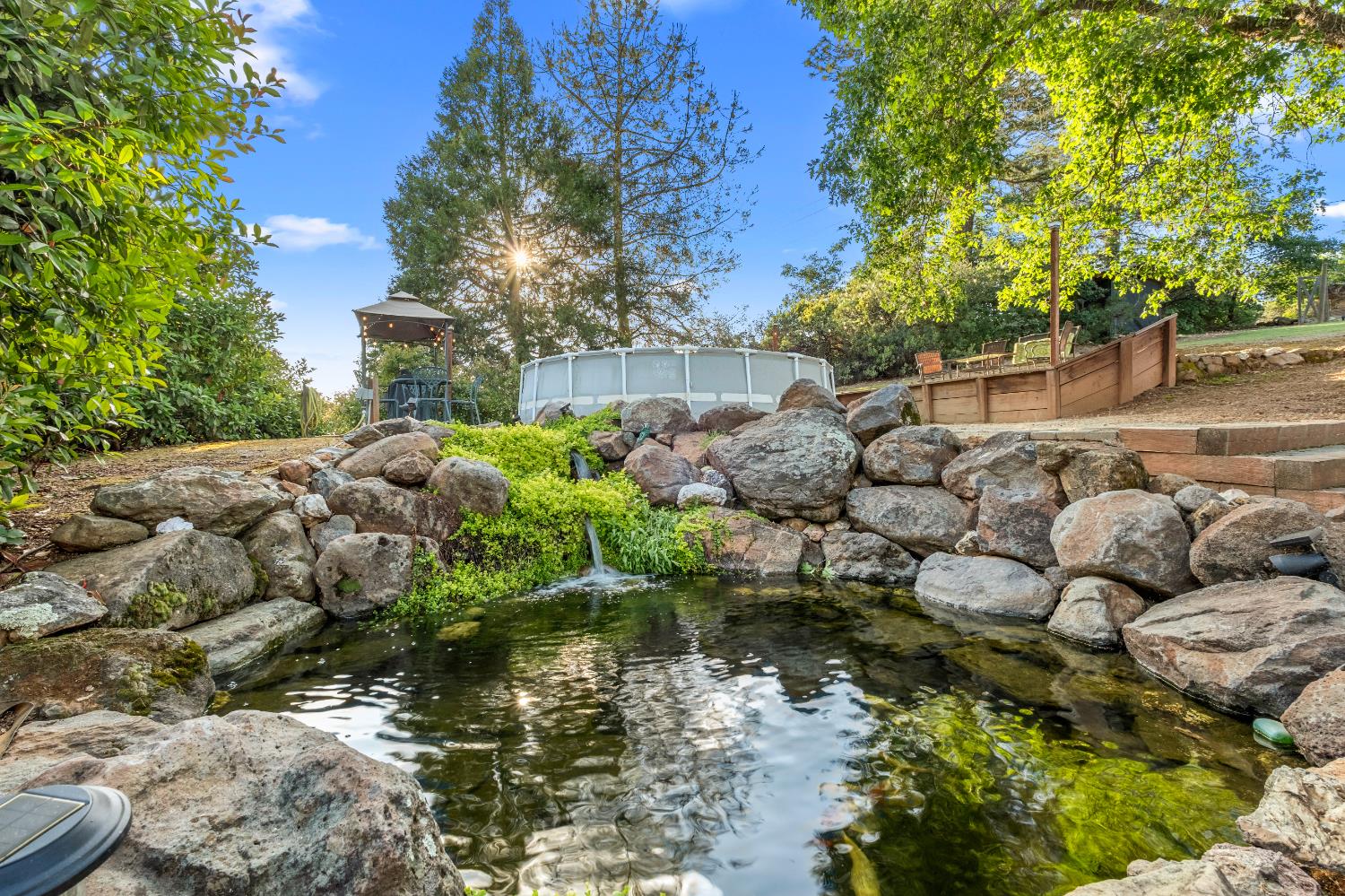 3217 Pleasant Valley Road Placerville, CA 95667 - Photo 5 of 59 Gorgeous Koi Pond