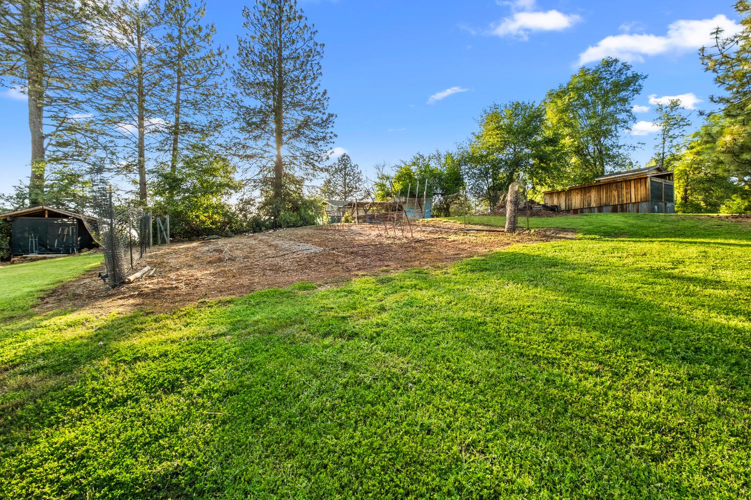 3217 Pleasant Valley Road Placerville, CA 95667 - Photo 51 of 59 a view of a yard with plants and trees