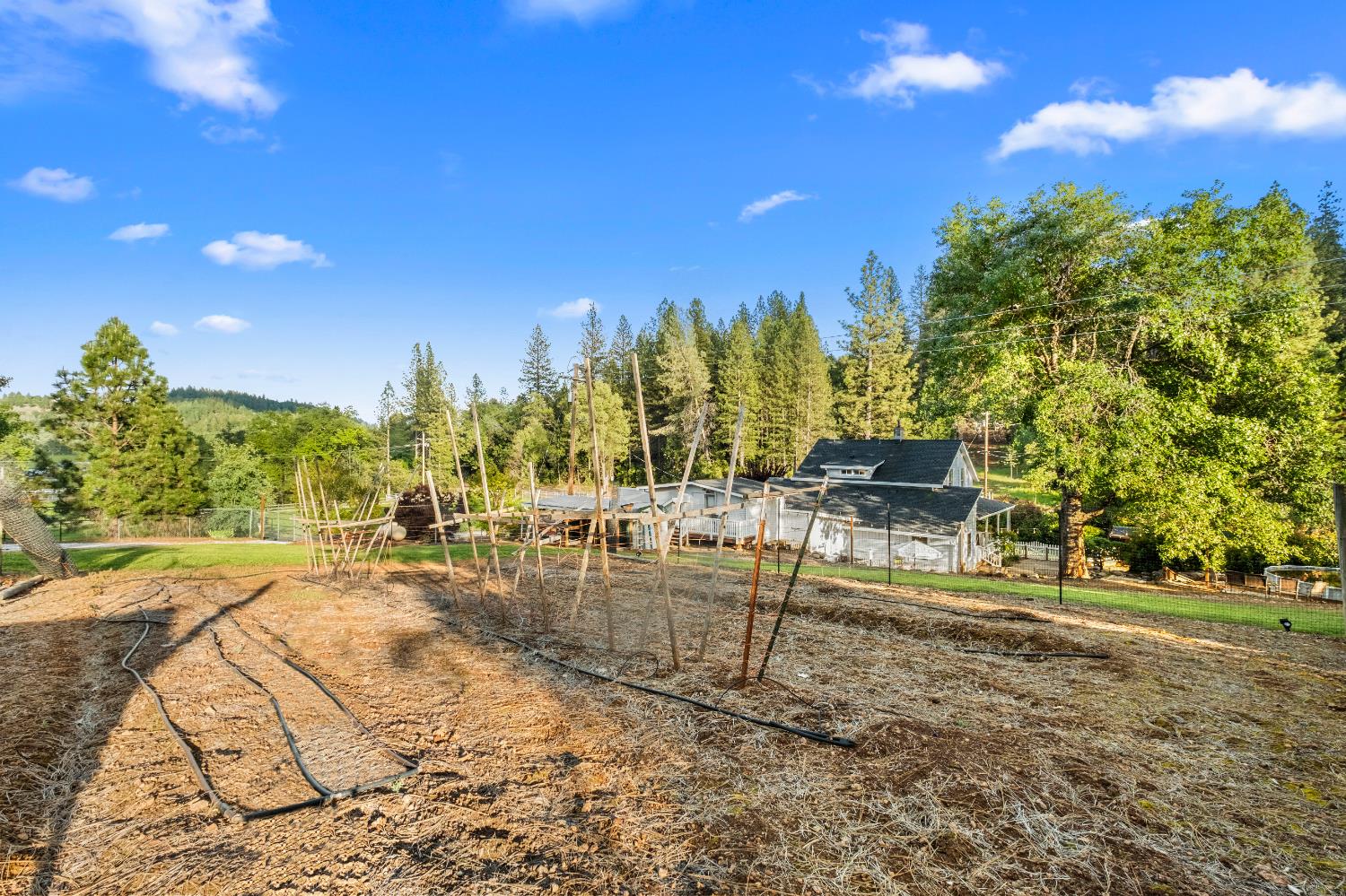 3217 Pleasant Valley Road Placerville, CA 95667 - Photo 56 of 59 a view of a yard with a slide