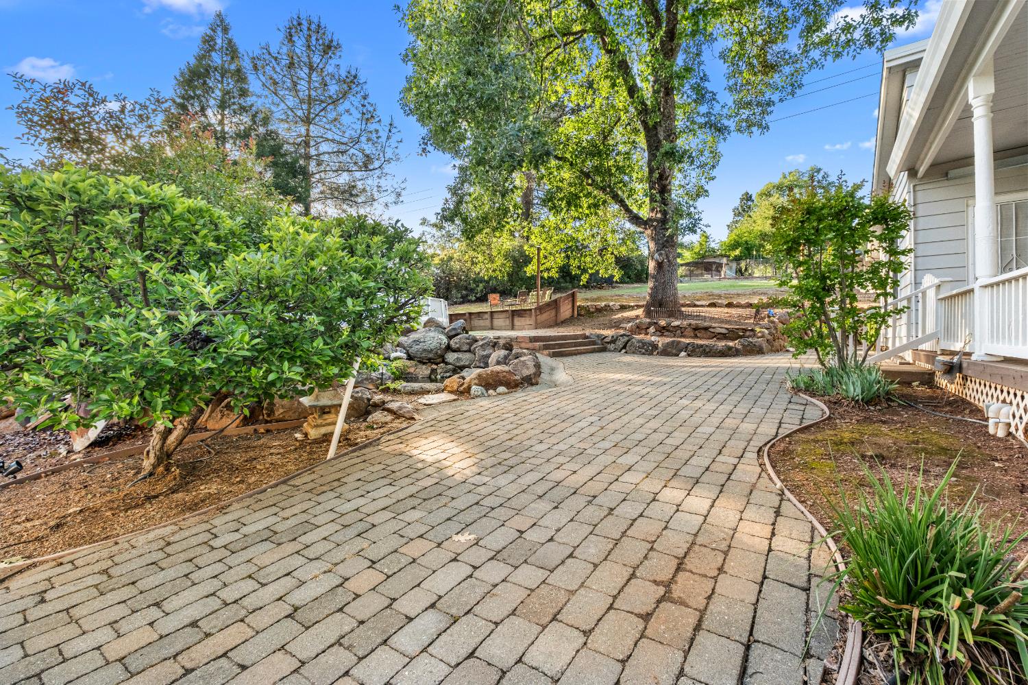 3217 Pleasant Valley Road Placerville, CA 95667 - Photo 7 of 59