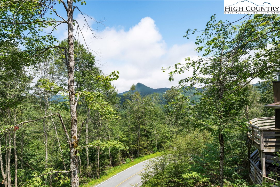 315 Timber Ridge Road, Unit A3 Sugar Mountain, NC 28604 - Photo 18 of 27 a view of a garden with a building in the background