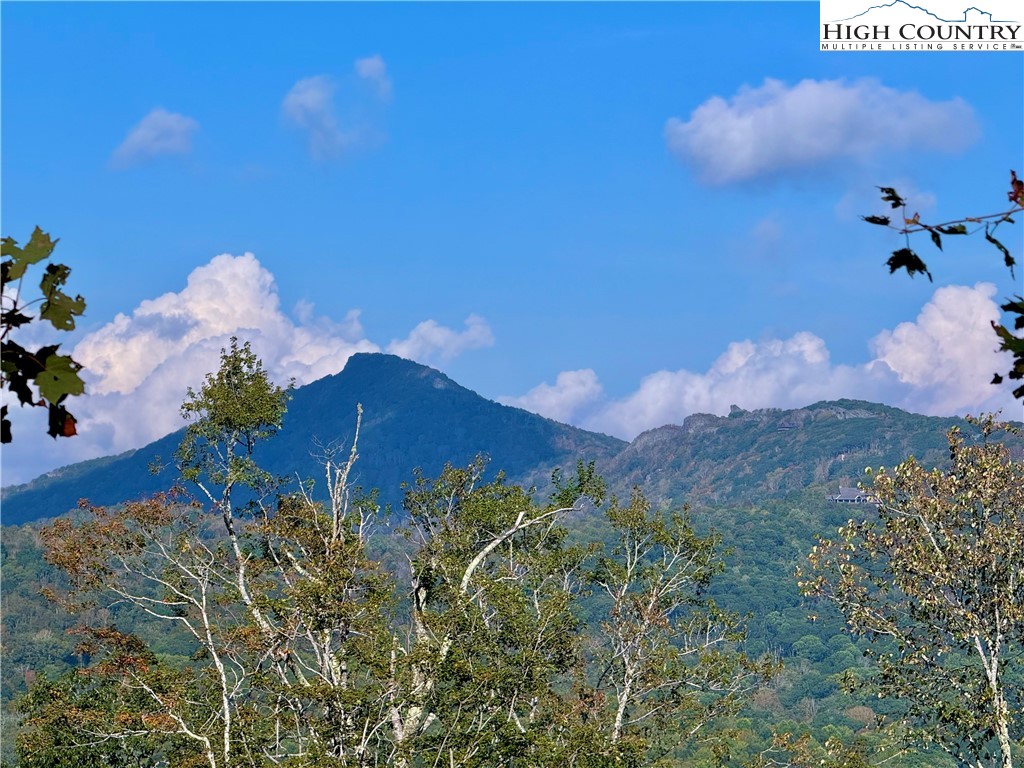 315 Timber Ridge Road, Unit A3 Sugar Mountain, NC 28604 - Photo 3 of 27 a view of a flower in a garden
