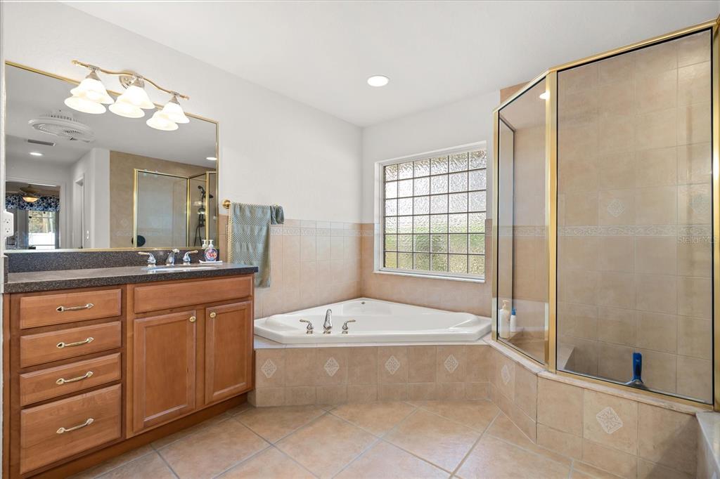 1254 Timberidge Loop South Lakeland, FL 33809 - Photo 21 of 36 a bathroom with a large tub a sink and a large mirror