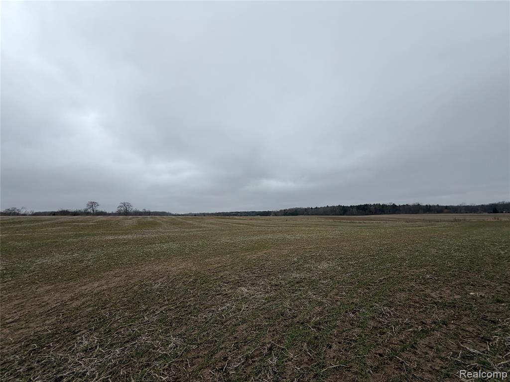 3160 Sanilac Road Kingston, MI 48741 - Photo 5 of 18