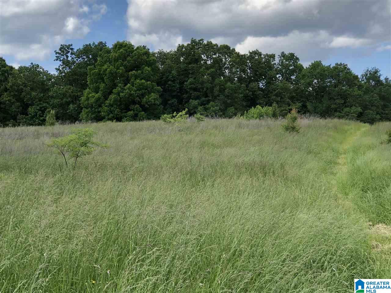 230 Copper Springs Road Odenville, AL 35120 - Photo 11 of 42