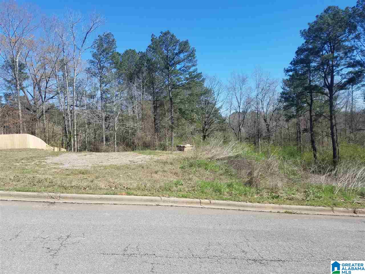 Greenbriar Place, Unit 34 Chelsea, AL 35043 - Photo 1 of 1