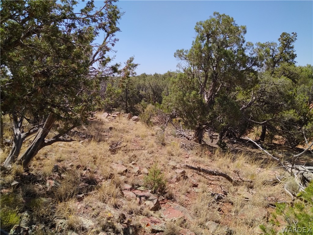 301-31-148 Antelope Run Road Seligman, AZ 86337 - Photo 2 of 8