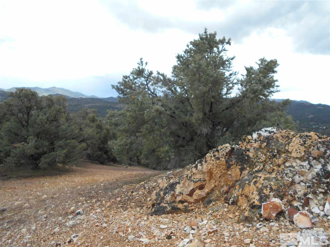 2440 Flatiron Road Reno, NV 89521 - Photo 12 of 24 a view of a yard with a tree