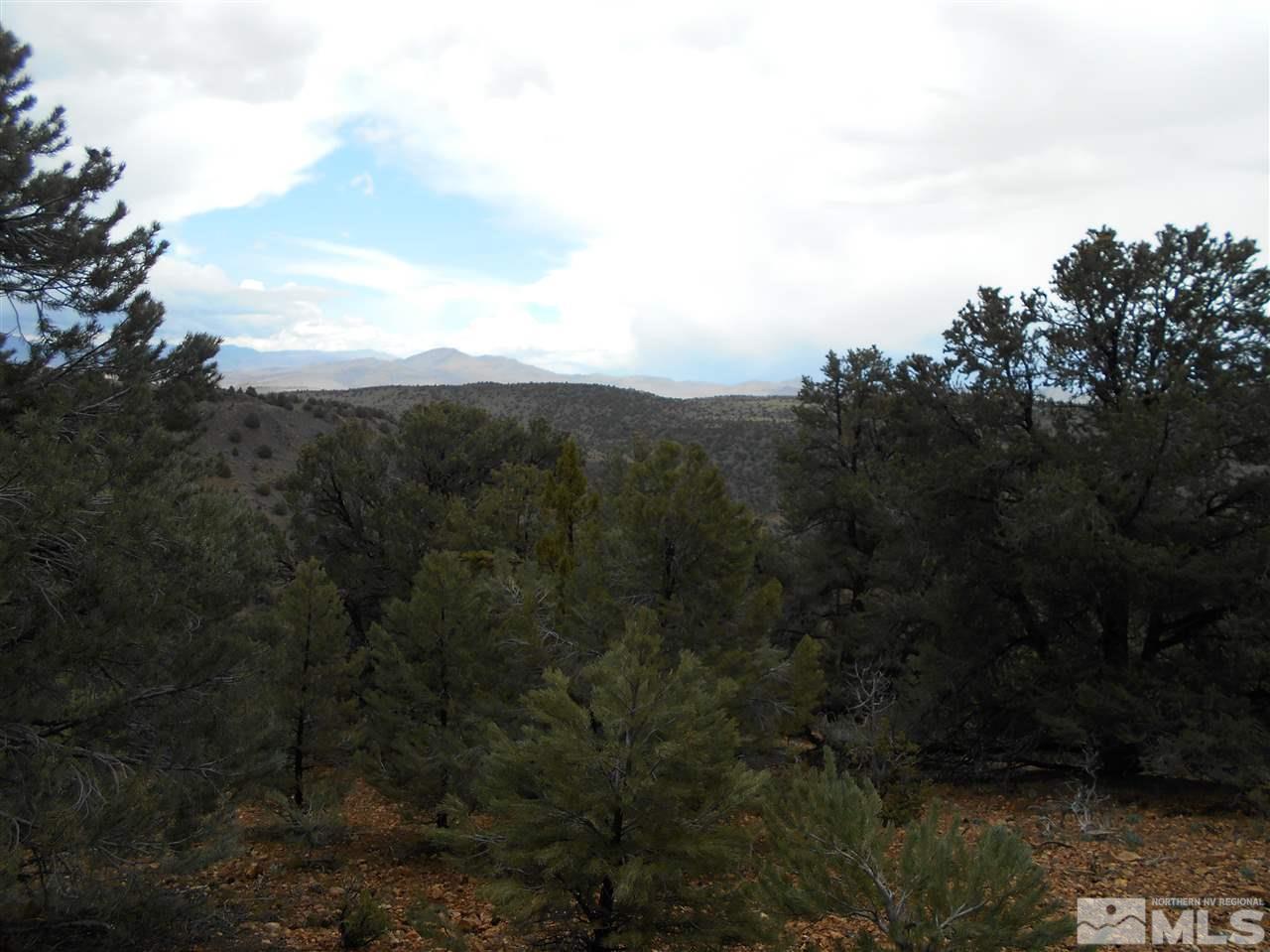 2440 Flatiron Road Reno, NV 89521 - Photo 13 of 24 a view of a city with lush green forest