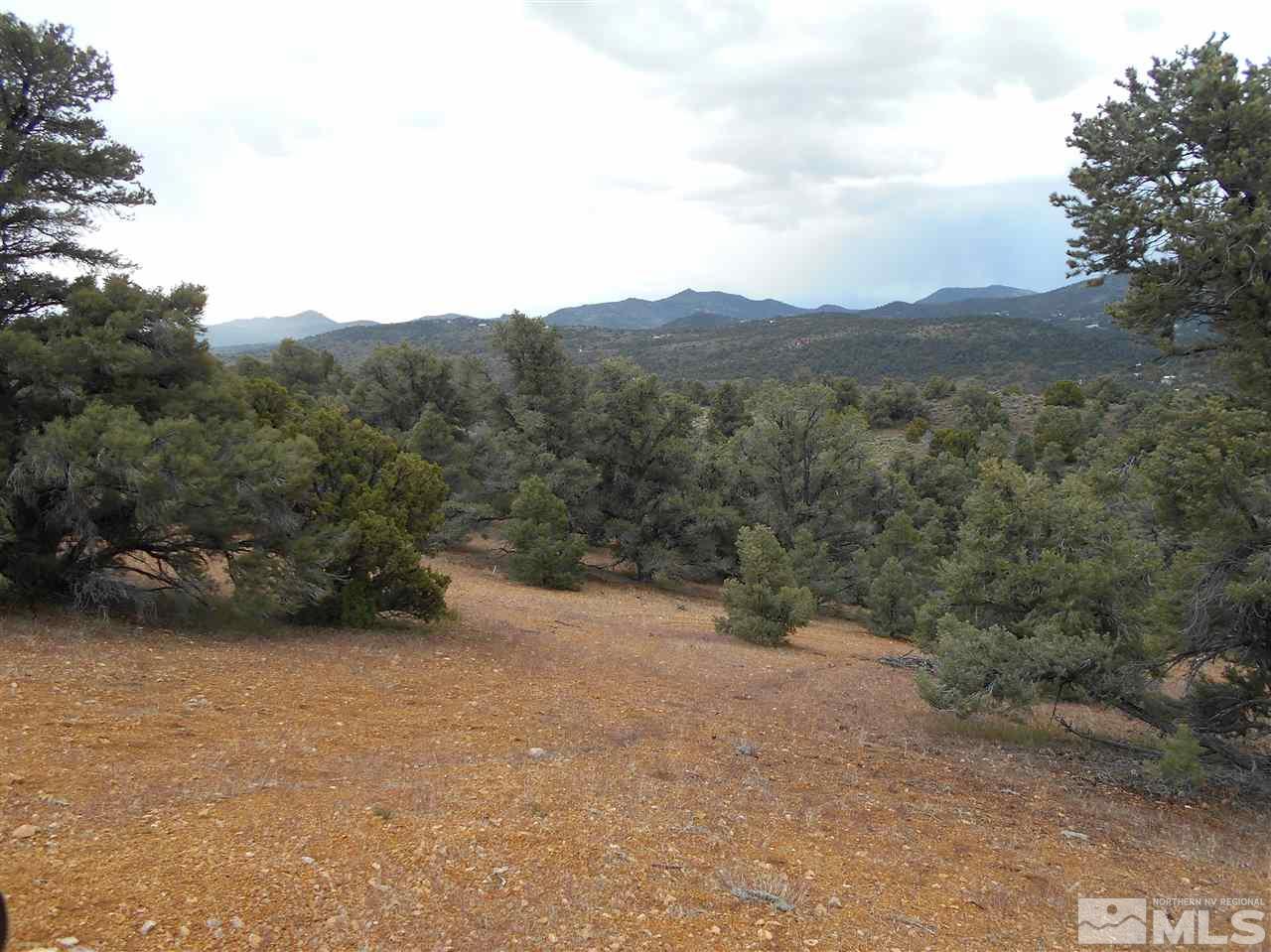 2440 Flatiron Road Reno, NV 89521 - Photo 15 of 24 a view of a valley