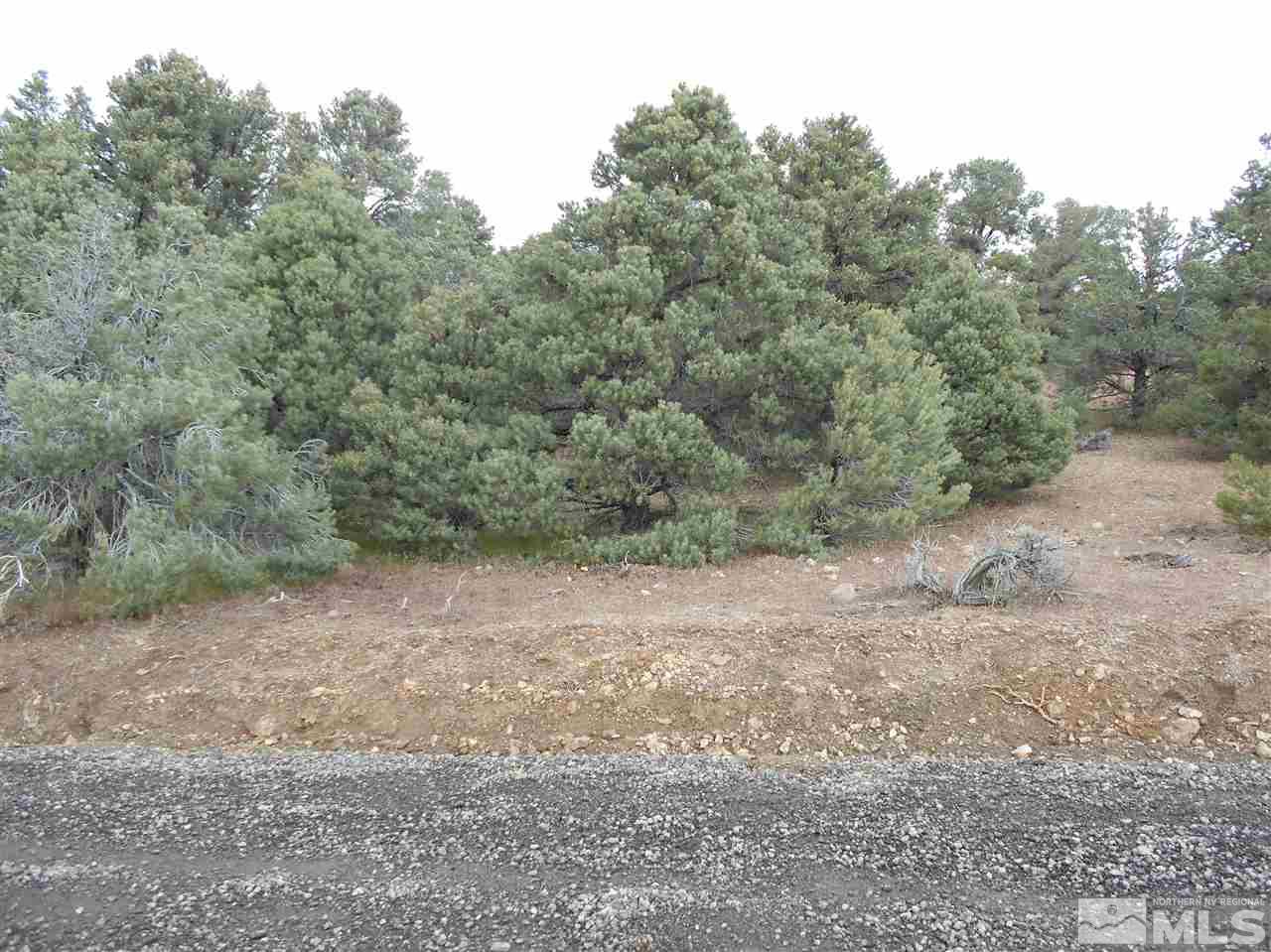 2440 Flatiron Road Reno, NV 89521 - Photo 18 of 24 a view of a yard with a tree