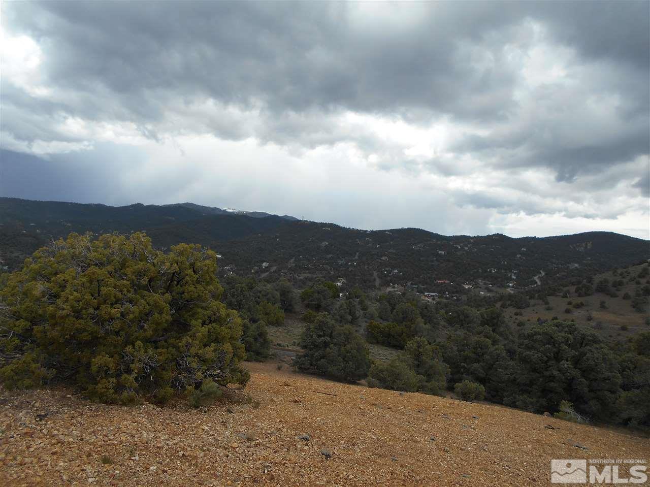 2440 Flatiron Road Reno, NV 89521 - Photo 6 of 24 an aerial view of houses covered in trees