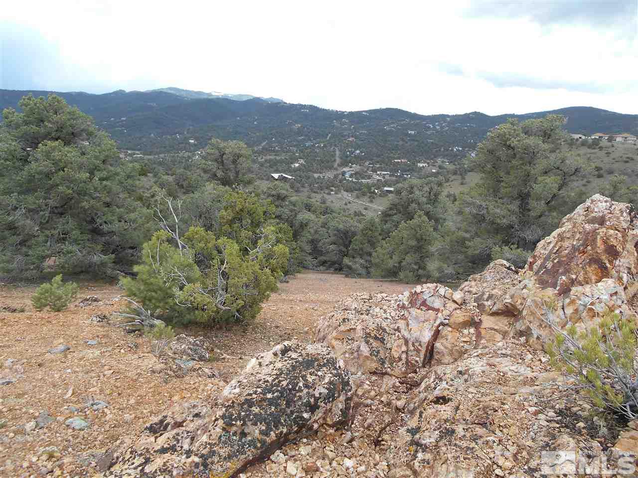 2440 Flatiron Road Reno, NV 89521 - Photo 10 of 24 a view of a mountain with a yard