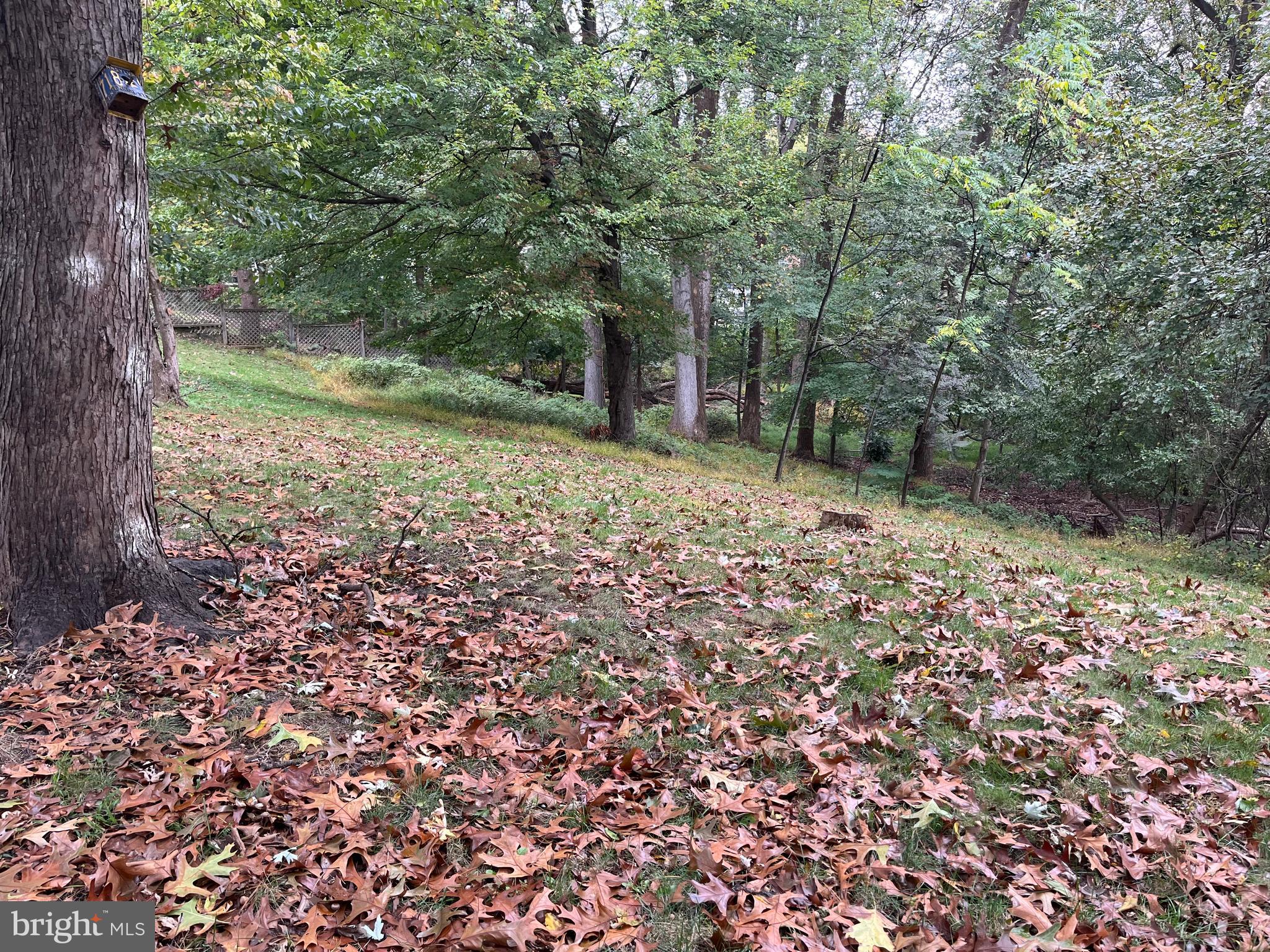 611 Winona Court Silver Spring, MD 20902 - Photo 2 of 15 a backyard of a house with lots of green space