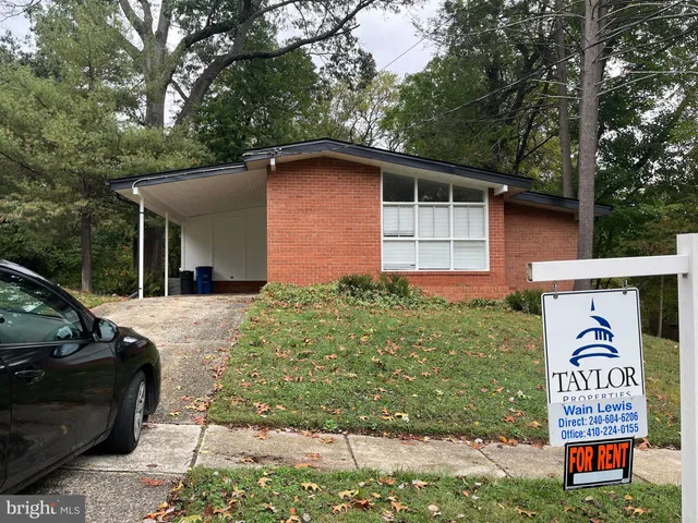 a backyard of a house with potted plants and large tree