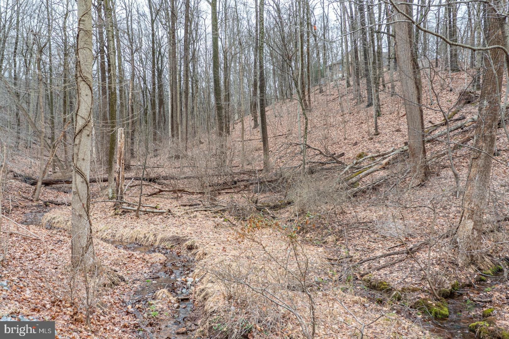 a view of wooden fence
