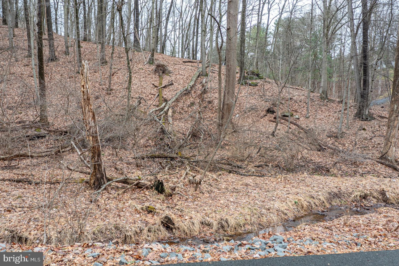 10 Hidden Pond Drive Reading, PA 19607 - Photo 3 of 6 a view of a dry yard with trees in the background