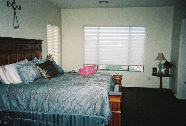 4432 East Ridgewood Lane Gilbert, AZ 85298 - Photo 9 of 13 Master Bedroom