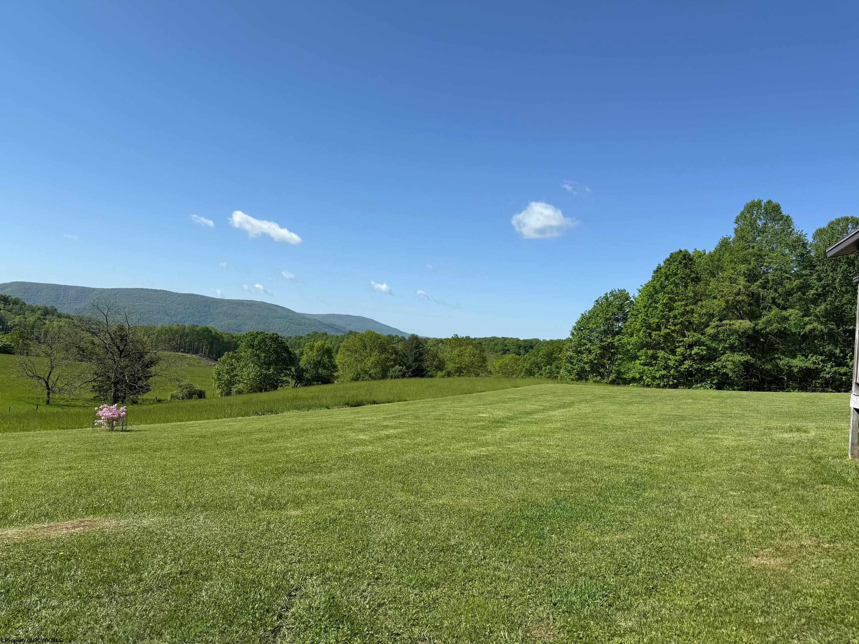 1209 Wolf Run Road Hambleton, WV 26269 - Photo 16 of 36 Gallery Image 16
