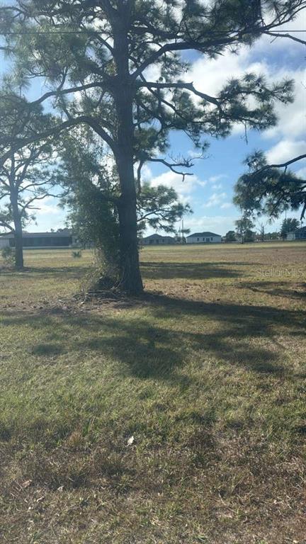 19 Carline Lane Placida, FL 33946 - Photo 1 of 4 a view of an ocean from a yard