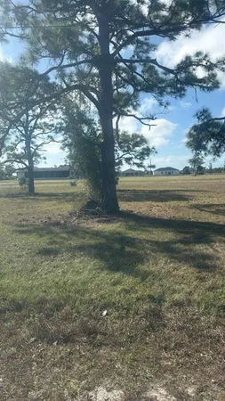 a view of an outdoor space and a yard