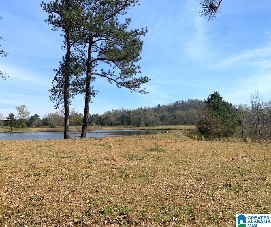 352 Daniel Road, Unit 97 17 ACRES Ohatchee, AL 36271 - Photo 5 of 17