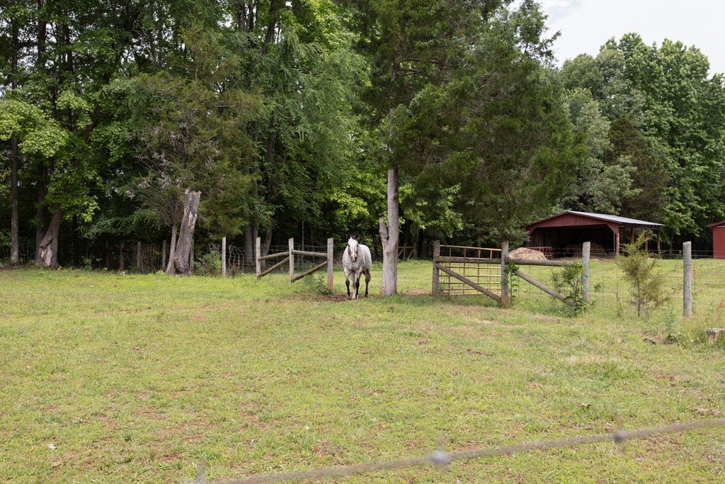 11393 Skipwith Road Chase City, VA 23924 - Photo 42 of 54 Gallery Image 42