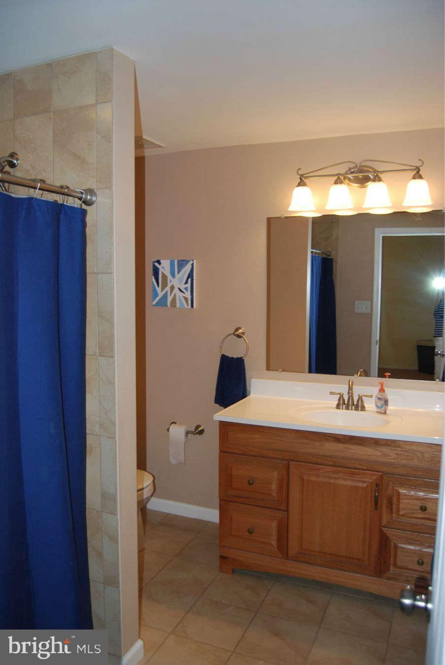 9757 Early Spring Way Columbia, MD 21046 - Photo 18 of 30 Bath Master