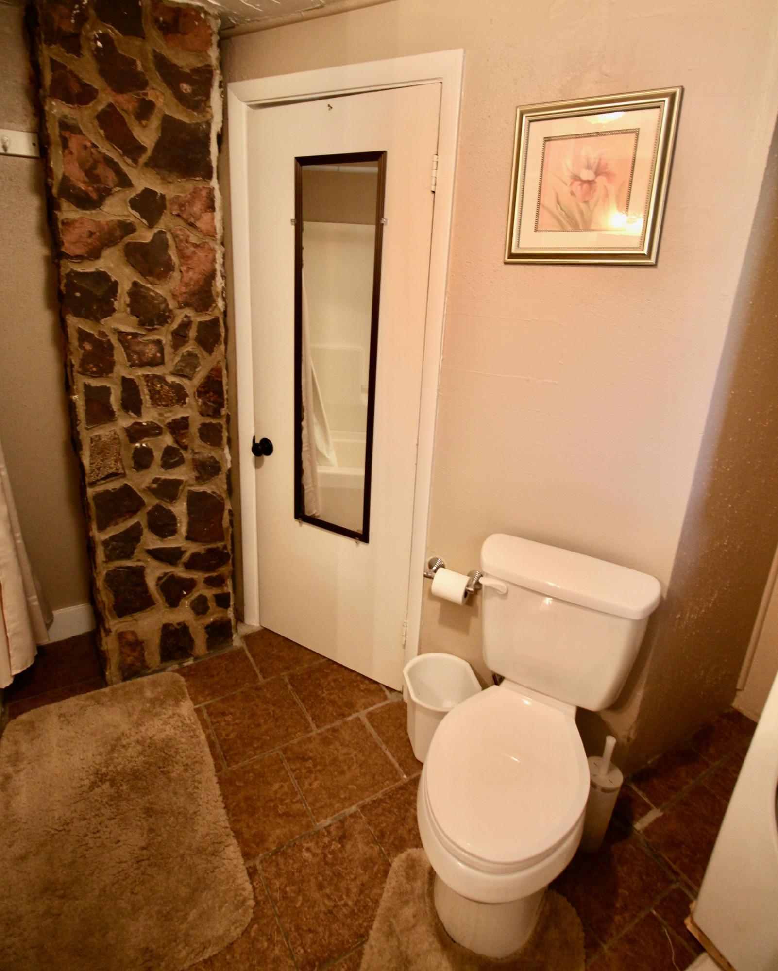 4066 Daugherty Road Salem, VA 24153 - Photo 22 of 23 a bathroom with a toilet and a shower
