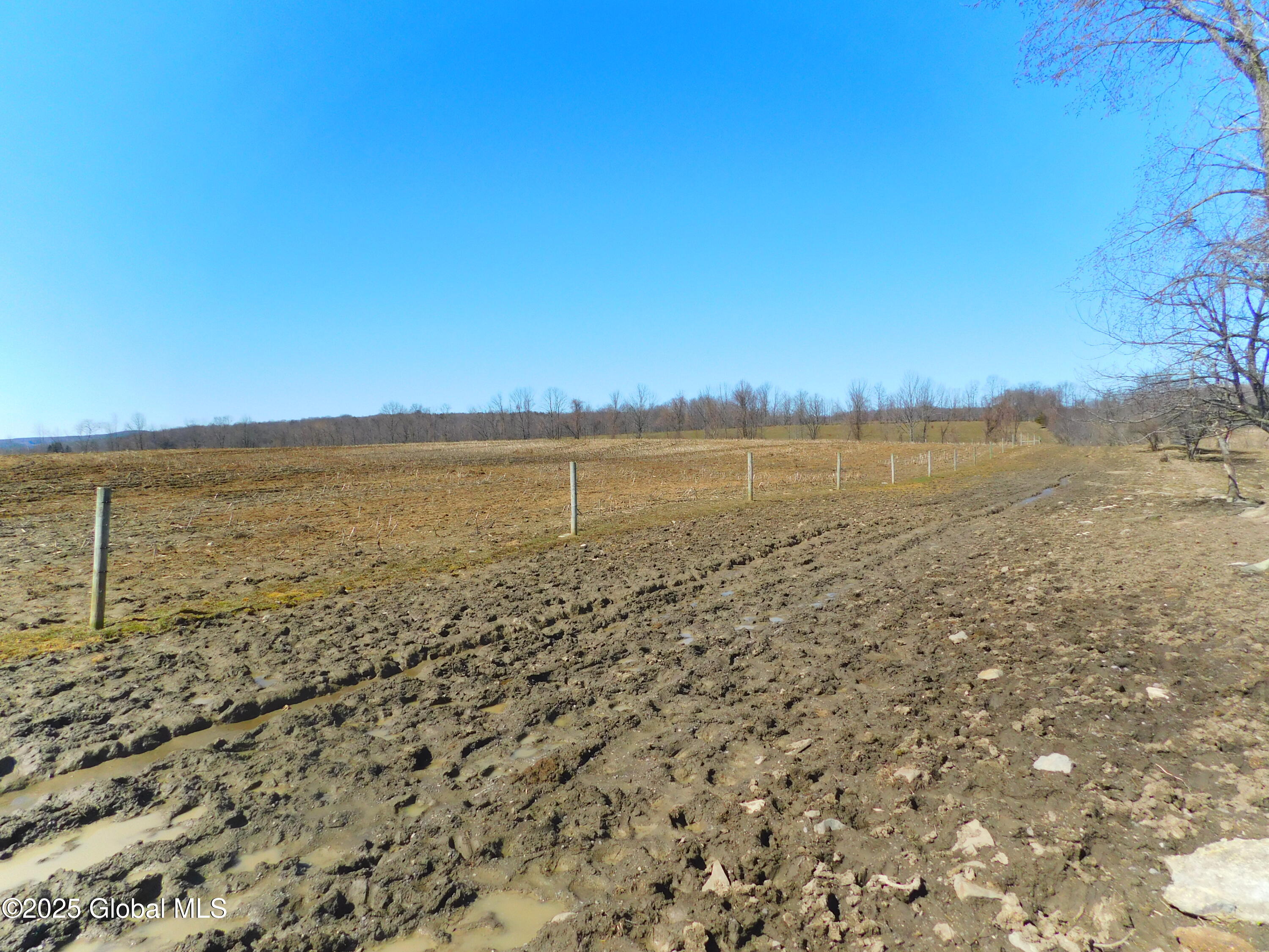 449 Caverns Road Howes Cave, NY 12092 - Photo 11 of 63 DSCN6958