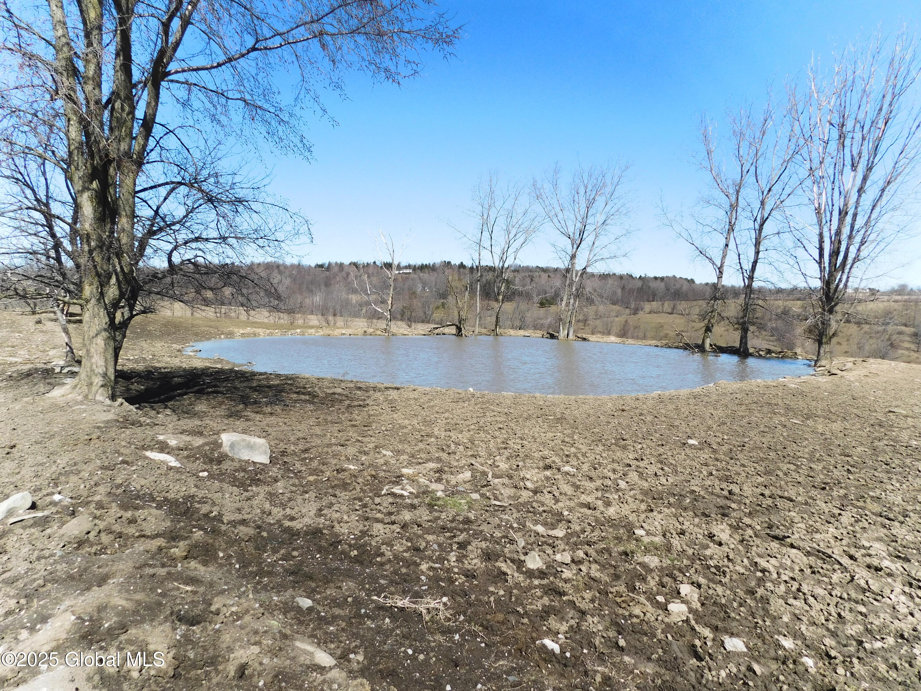 449 Caverns Road Howes Cave, NY 12092 - Photo 12 of 63 DSCN6964