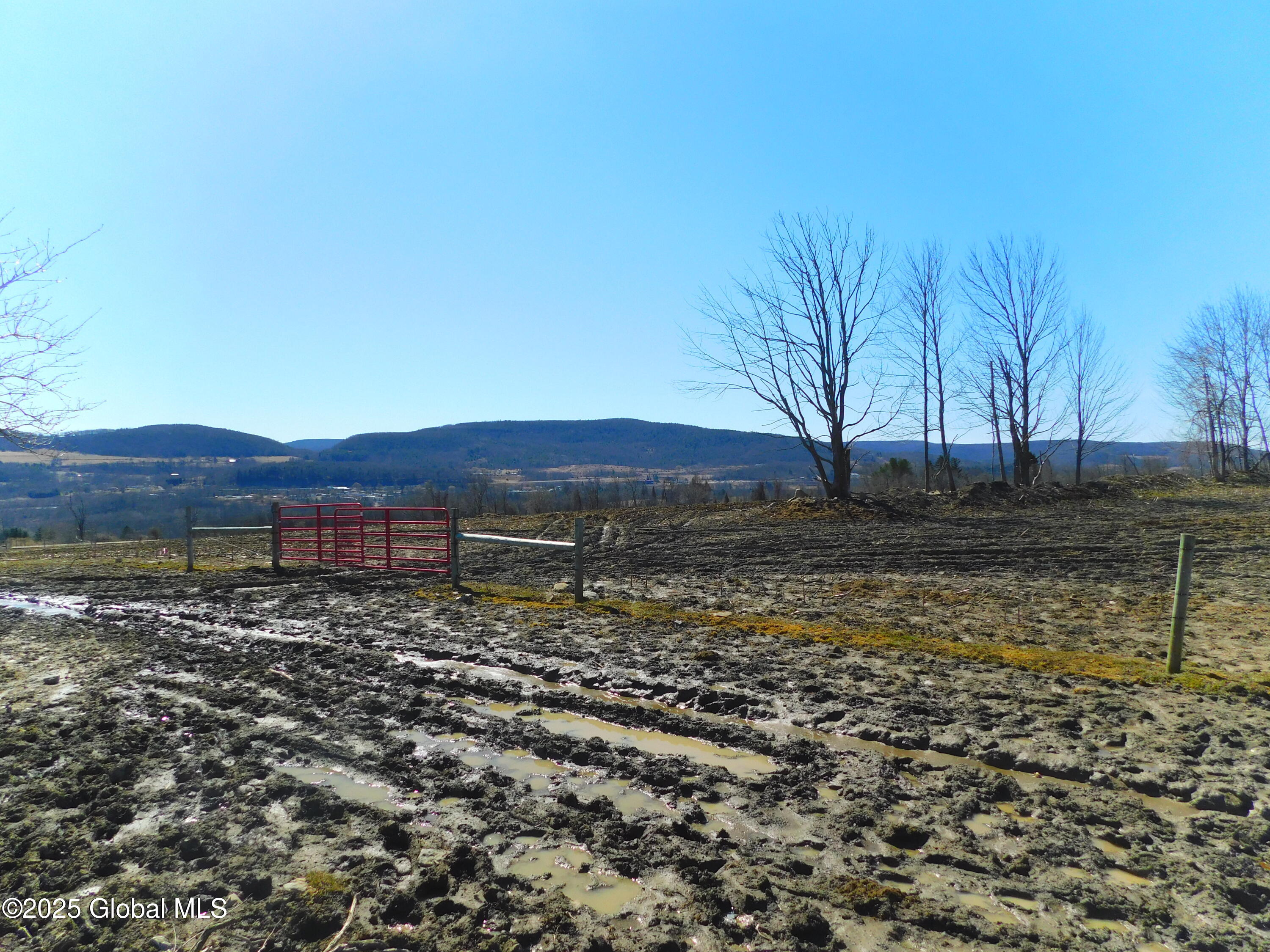 449 Caverns Road Howes Cave, NY 12092 - Photo 13 of 63 DSCN6968