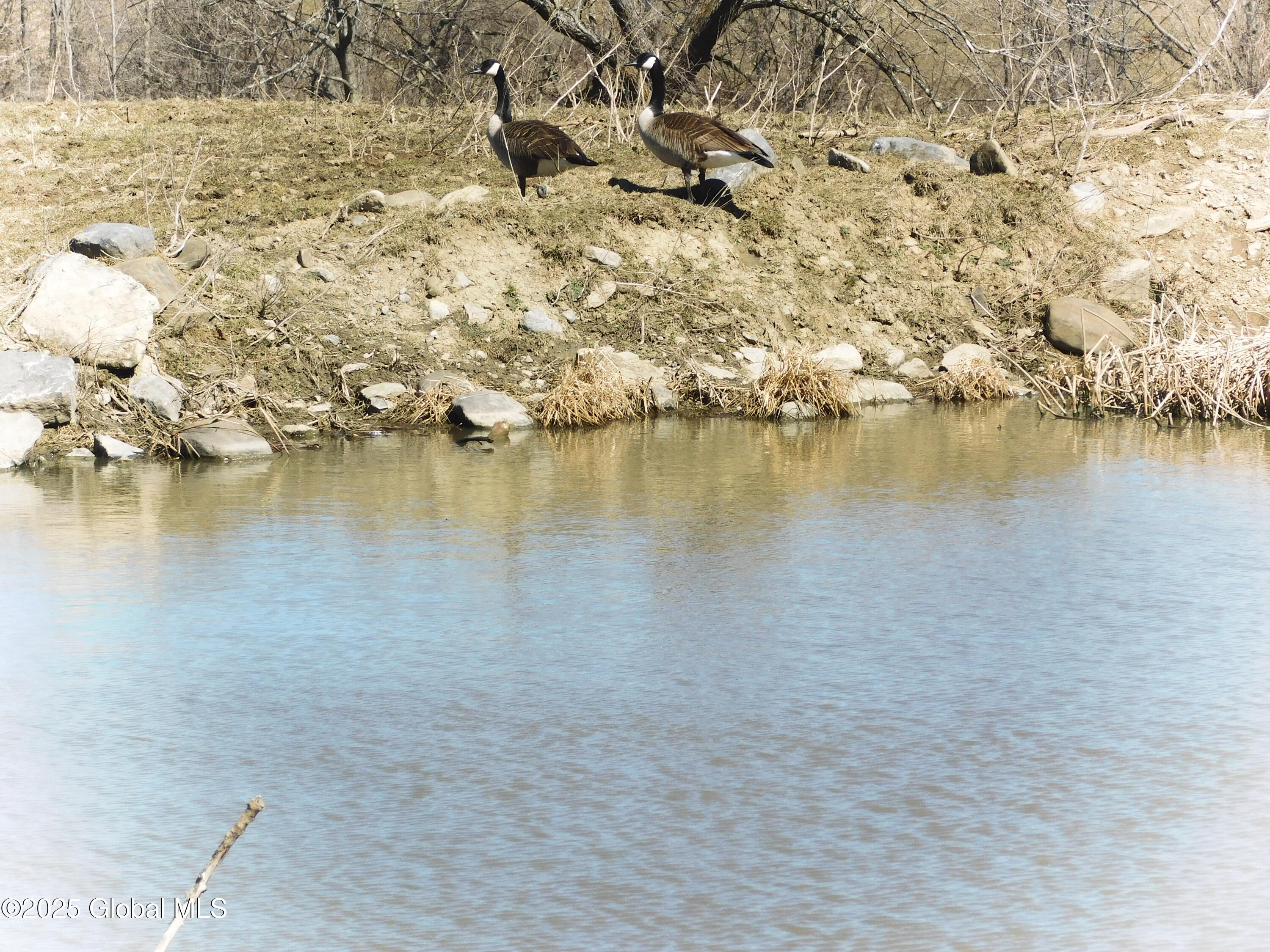 449 Caverns Road Howes Cave, NY 12092 - Photo 14 of 63 DSCN6974