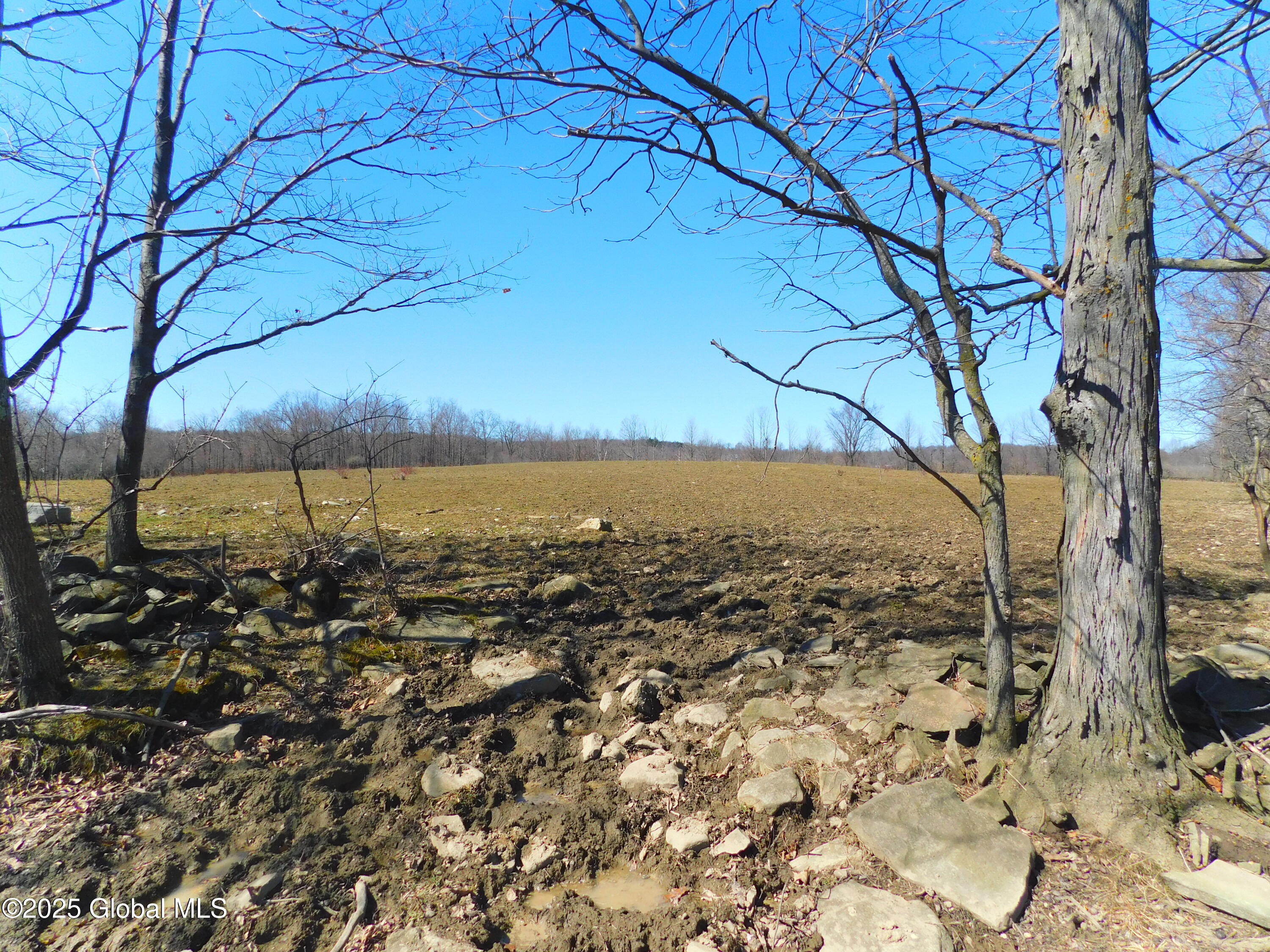 449 Caverns Road Howes Cave, NY 12092 - Photo 15 of 63 DSCN6983