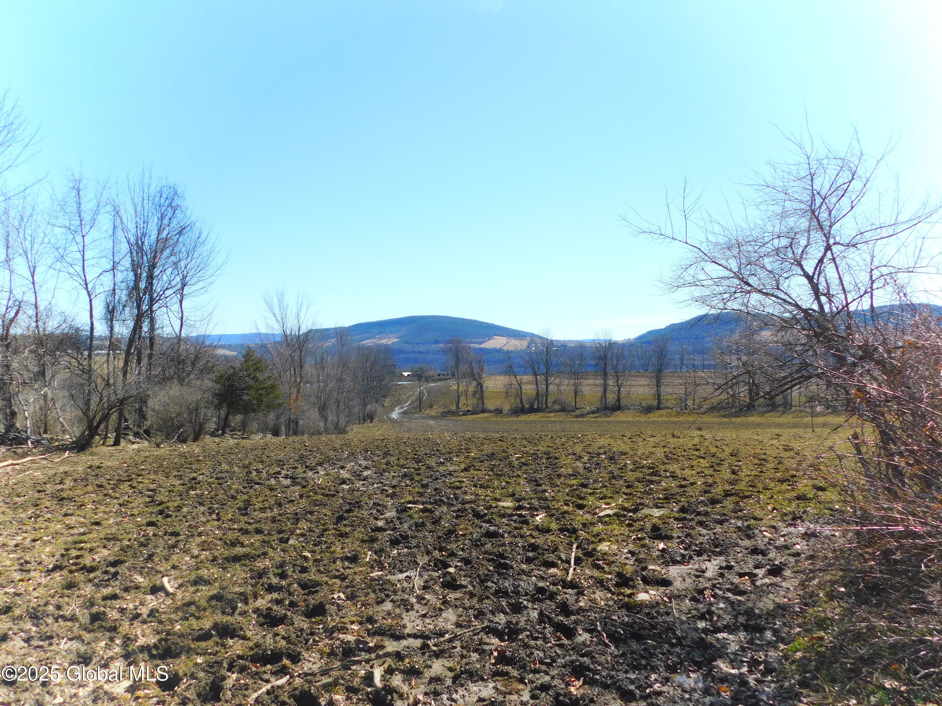 449 Caverns Road Howes Cave, NY 12092 - Photo 16 of 63 DSCN6988