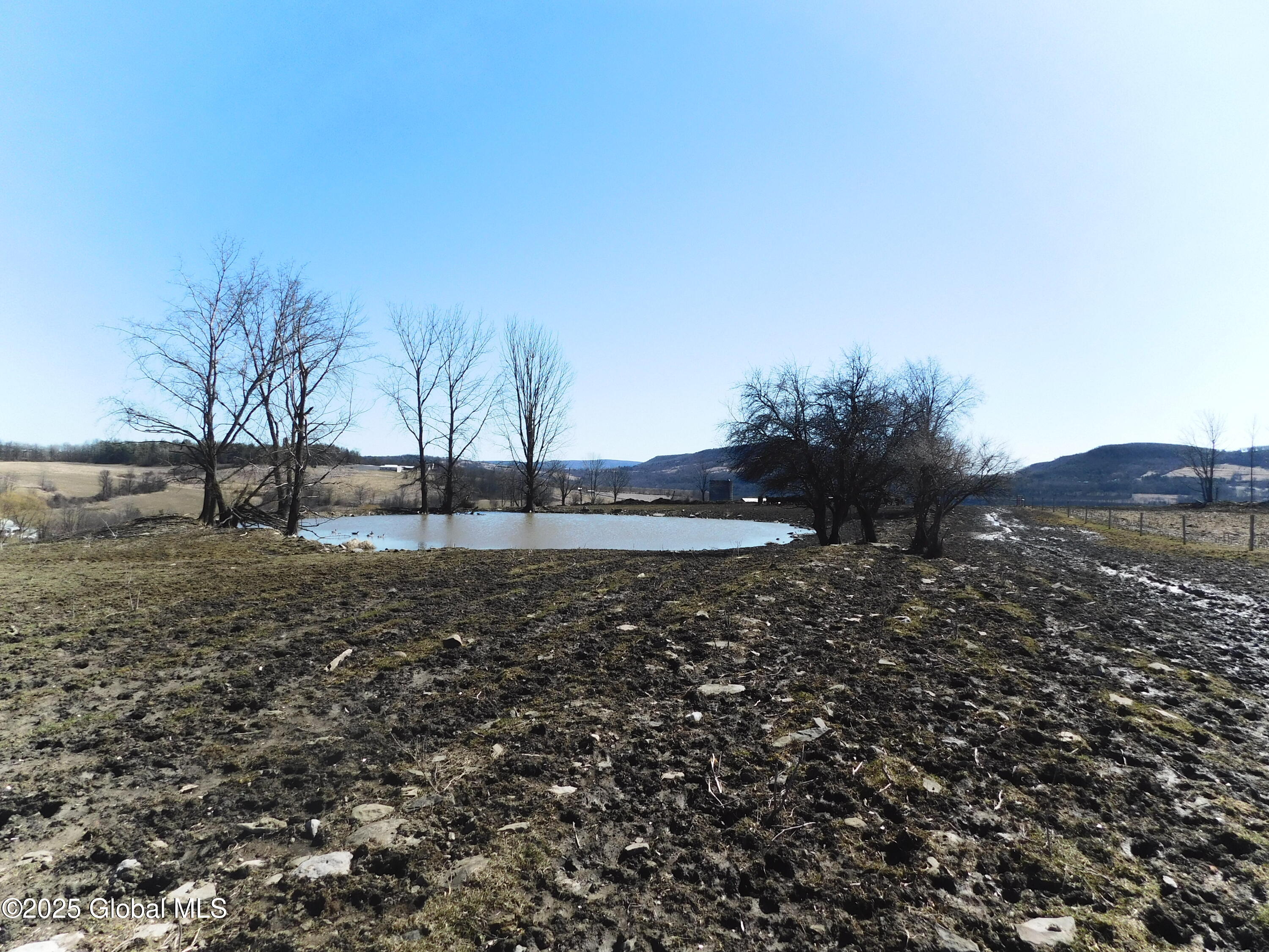 449 Caverns Road Howes Cave, NY 12092 - Photo 17 of 63 DSCN6999
