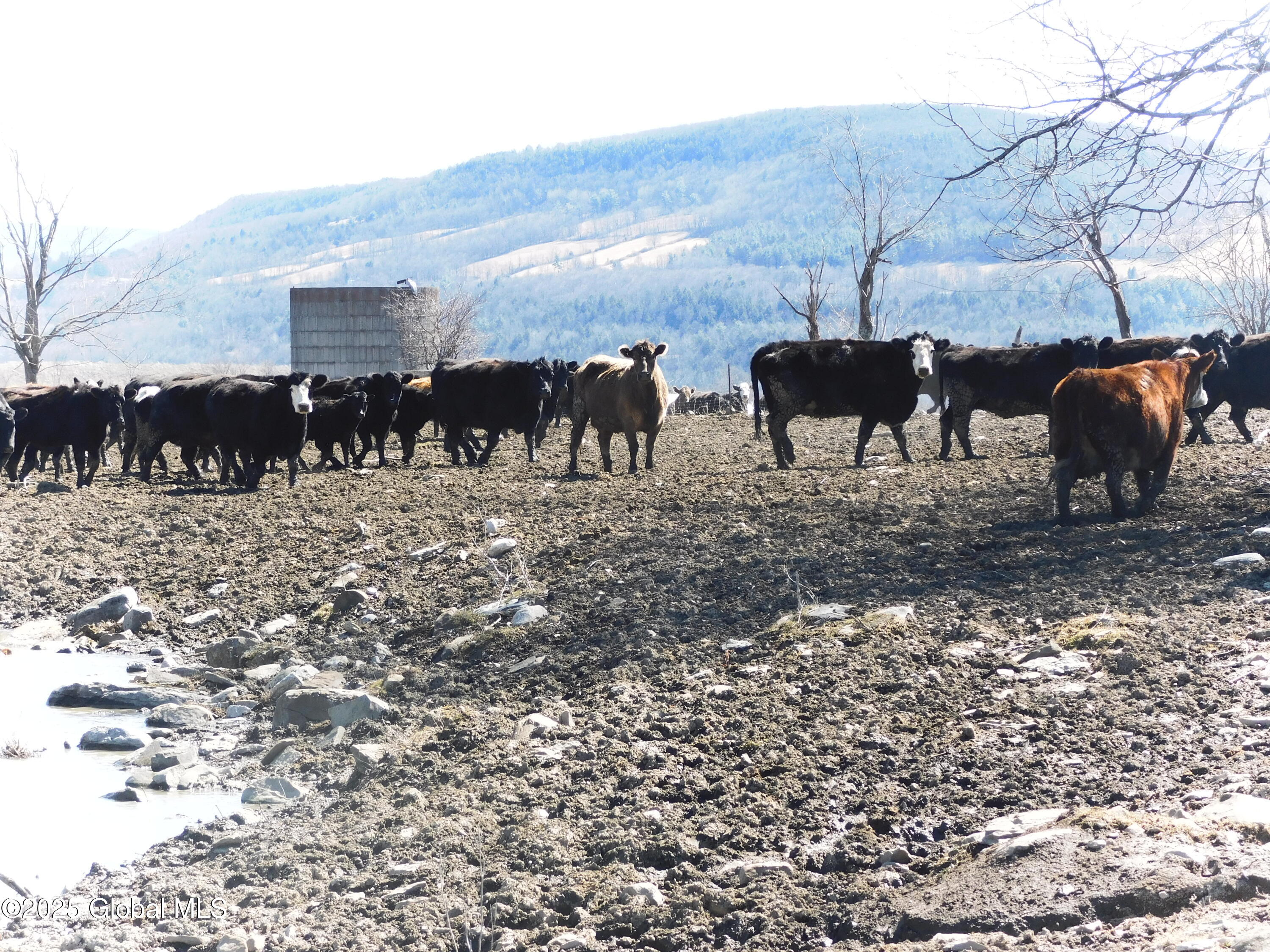 449 Caverns Road Howes Cave, NY 12092 - Photo 18 of 63 DSCN7004