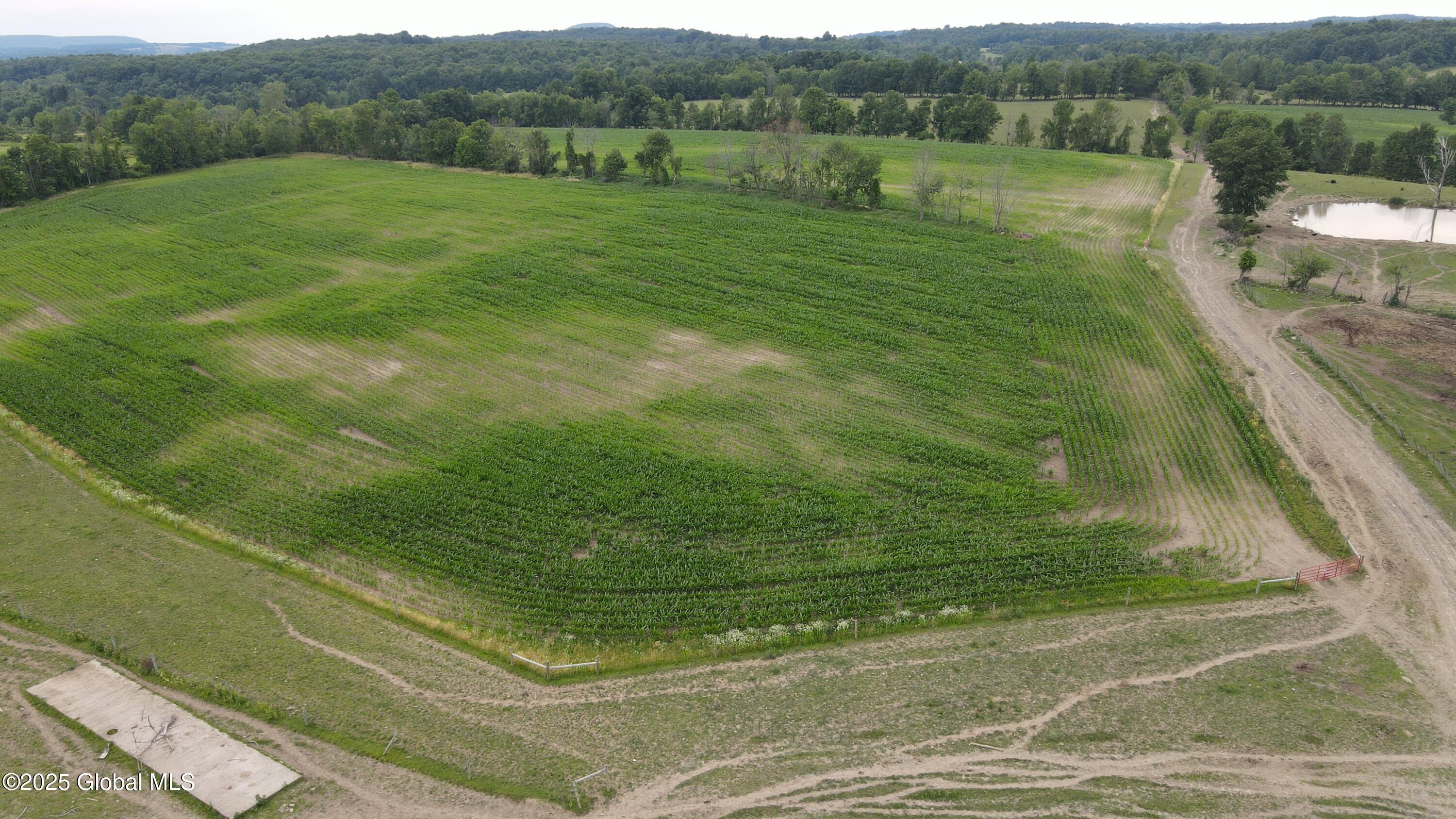 449 Caverns Road Howes Cave, NY 12092 - Photo 34 of 63 DJI_0934