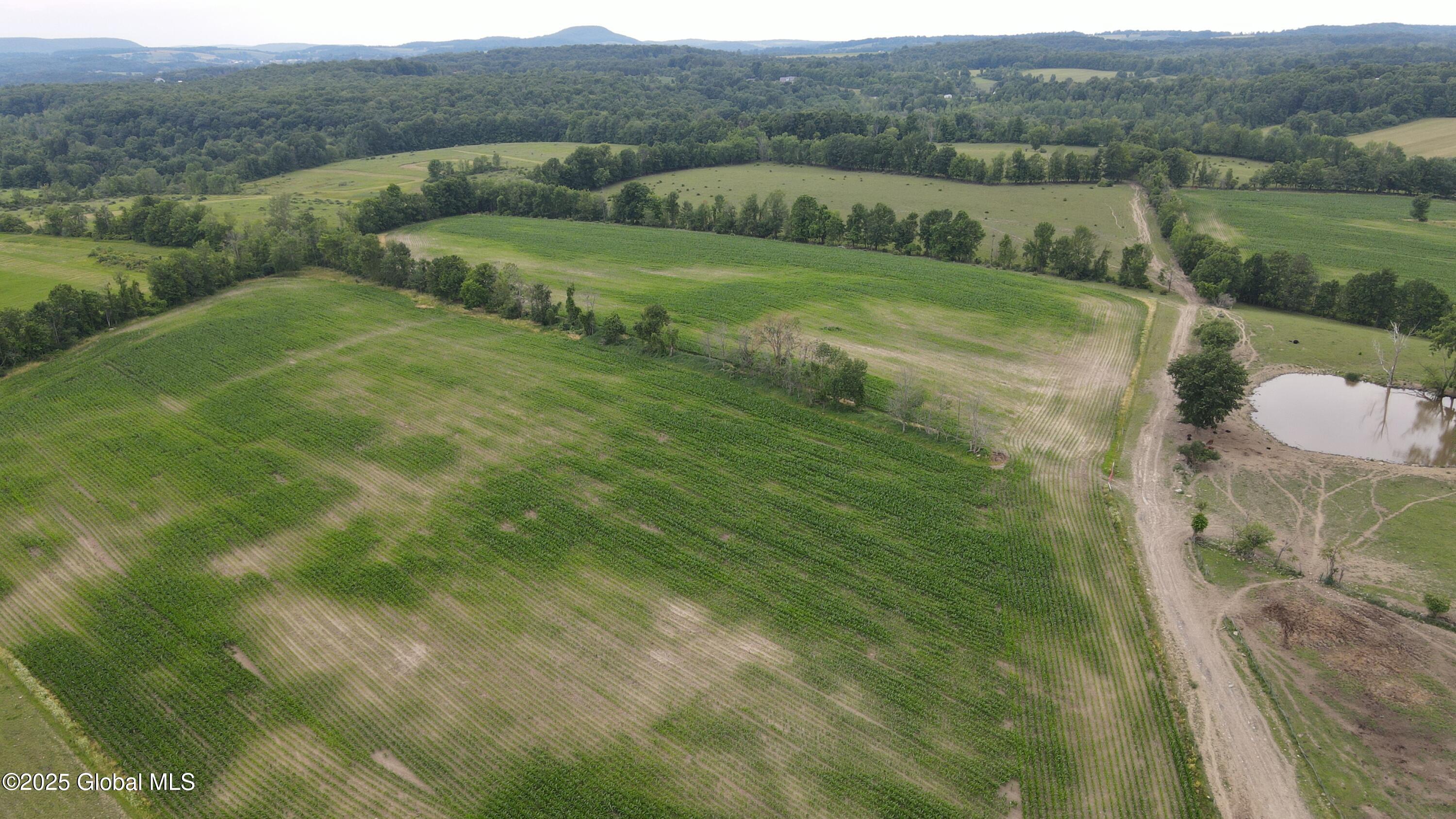 449 Caverns Road Howes Cave, NY 12092 - Photo 35 of 63 DJI_0935