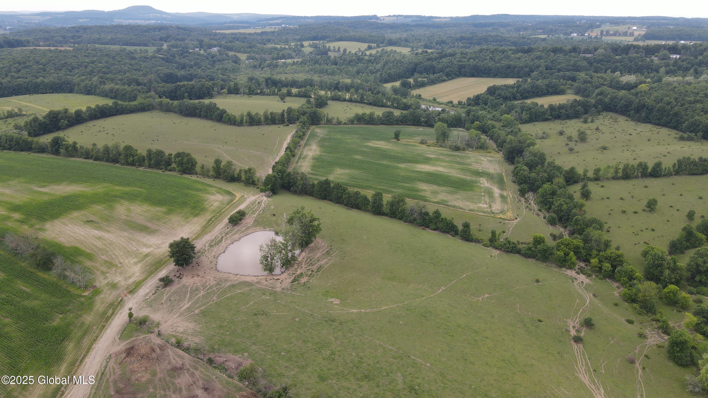 449 Caverns Road Howes Cave, NY 12092 - Photo 36 of 63 DJI_0937