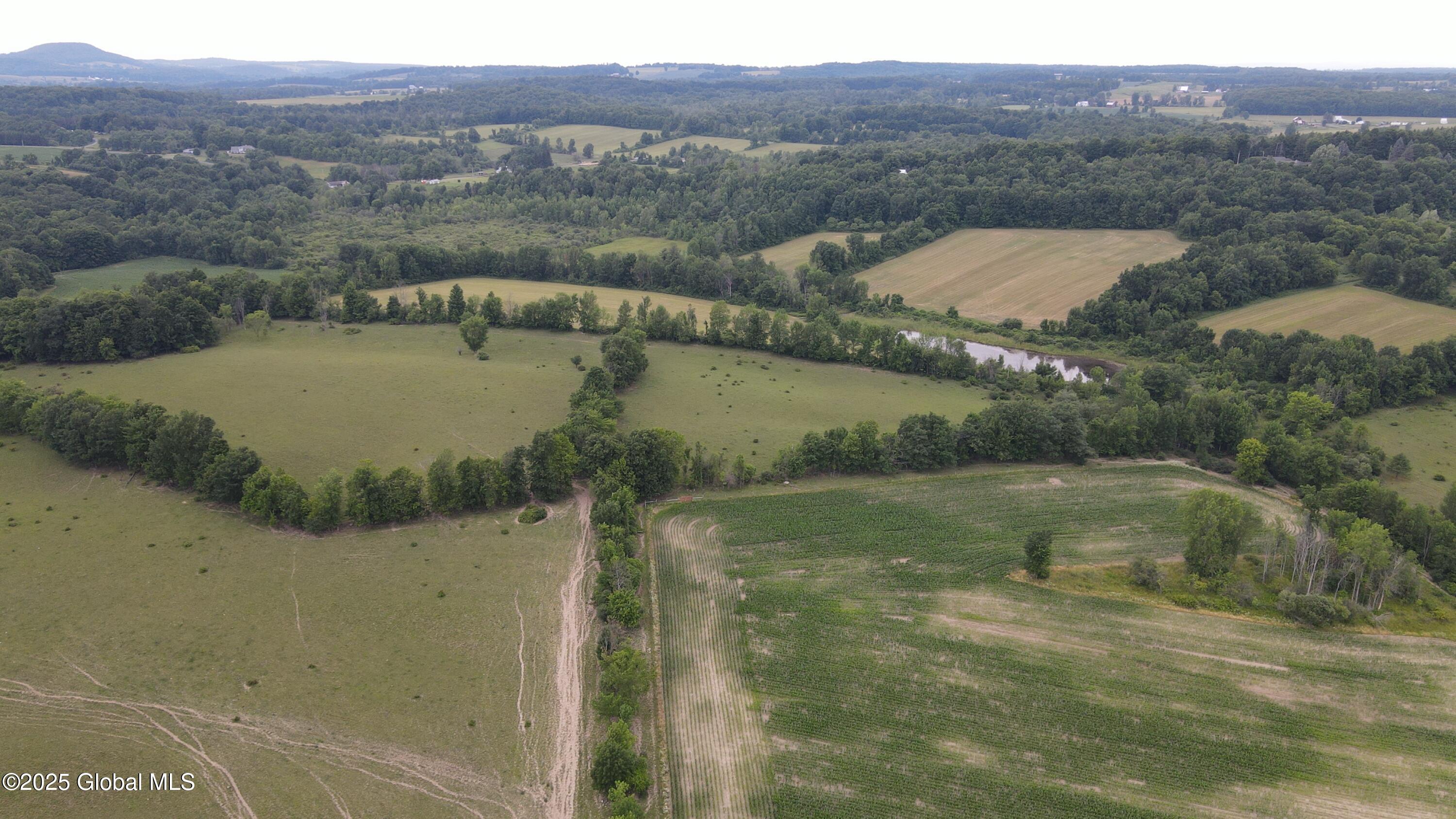 449 Caverns Road Howes Cave, NY 12092 - Photo 37 of 63 DJI_0941
