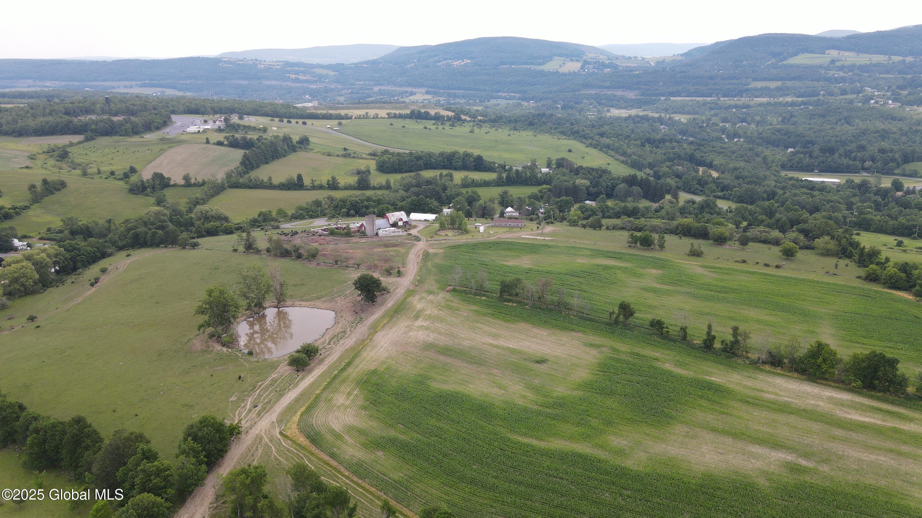 449 Caverns Road Howes Cave, NY 12092 - Photo 39 of 63 DJI_0943