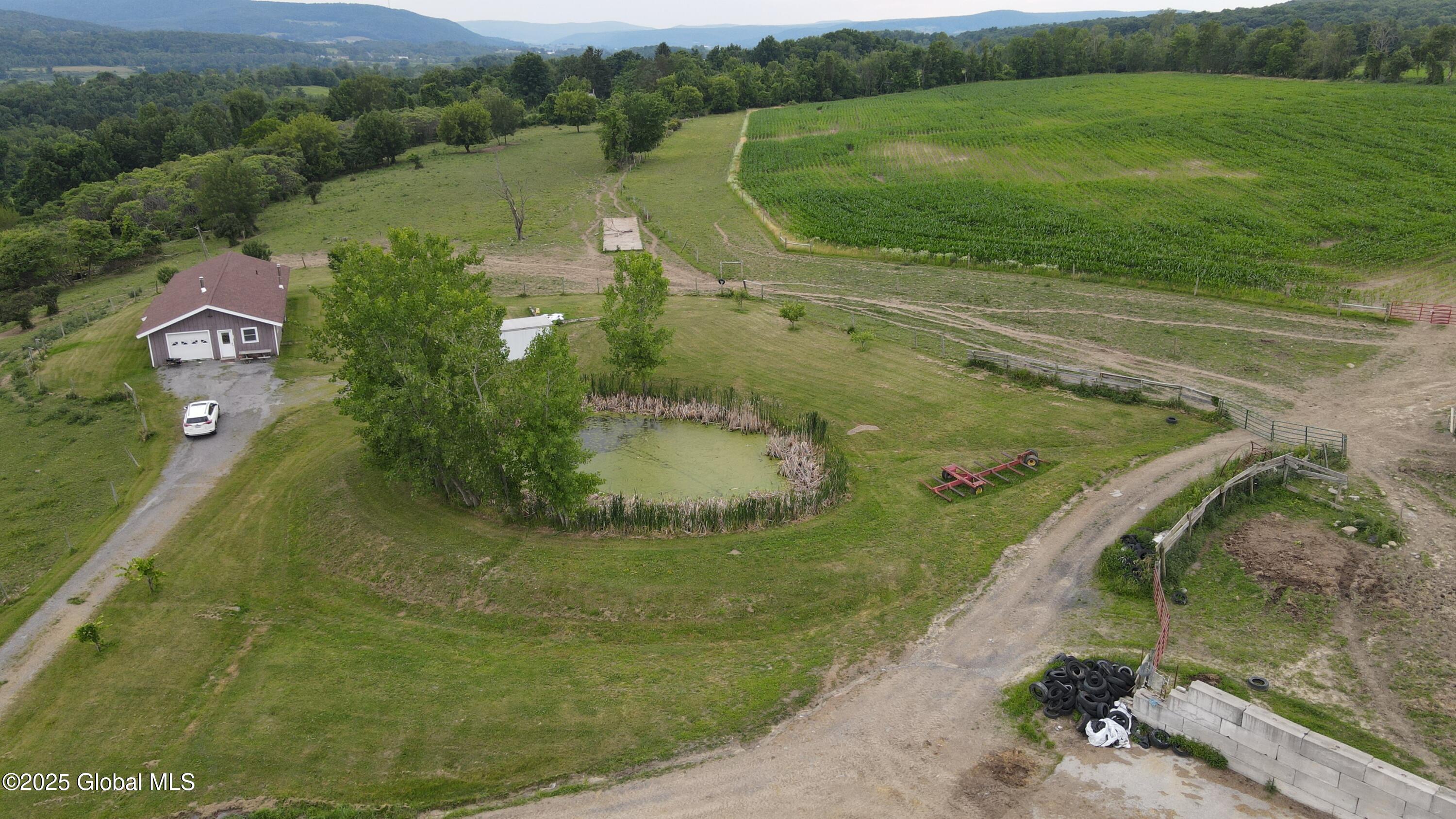 449 Caverns Road Howes Cave, NY 12092 - Photo 43 of 63 DJI_0949