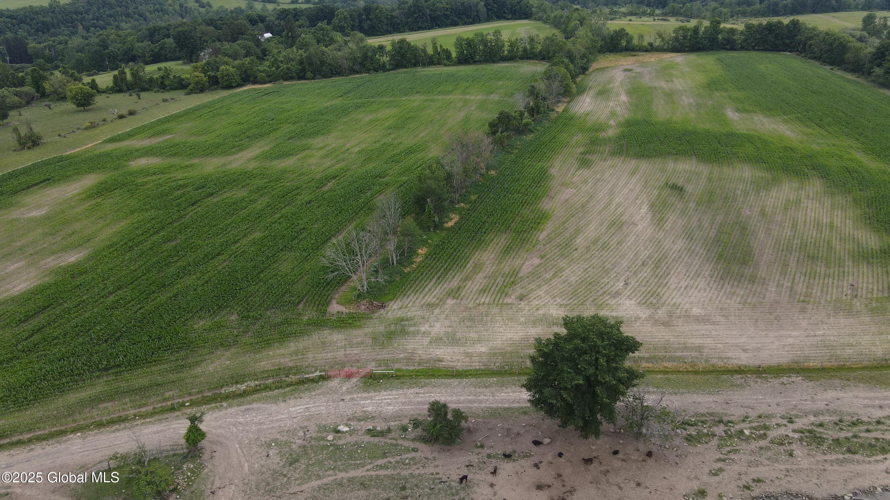 449 Caverns Road Howes Cave, NY 12092 - Photo 45 of 63 DJI_0954