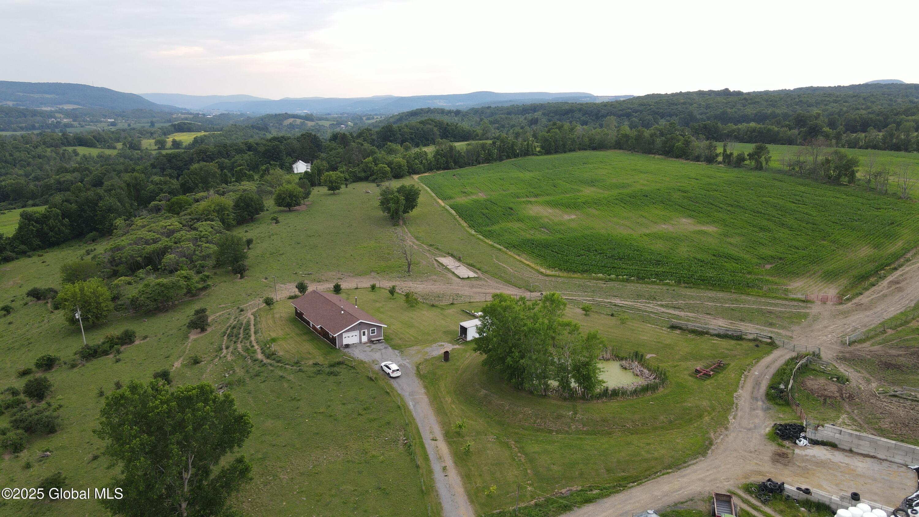 449 Caverns Road Howes Cave, NY 12092 - Photo 58 of 63 DJI_0980