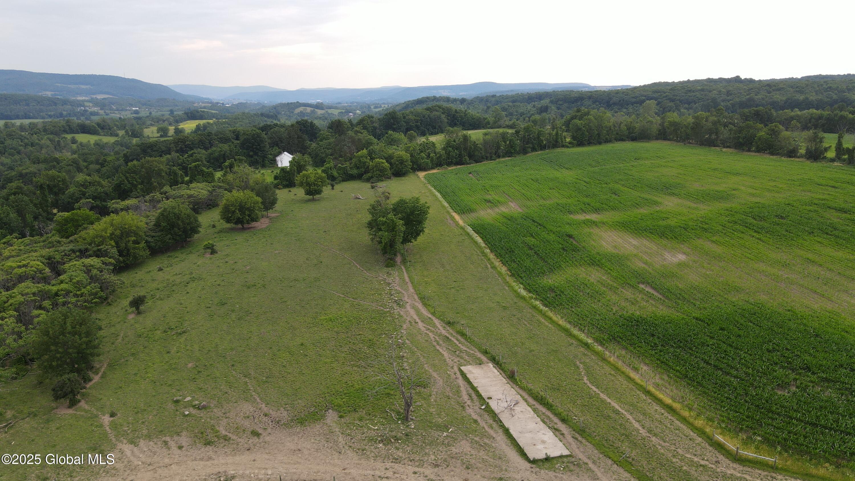 449 Caverns Road Howes Cave, NY 12092 - Photo 60 of 63 DJI_0984